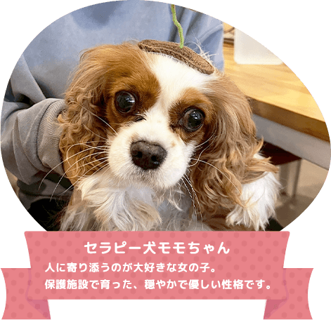 アニマルセラピー